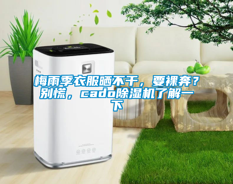 梅雨季衣服曬不干，要裸奔？別慌，cado除濕機了解一下