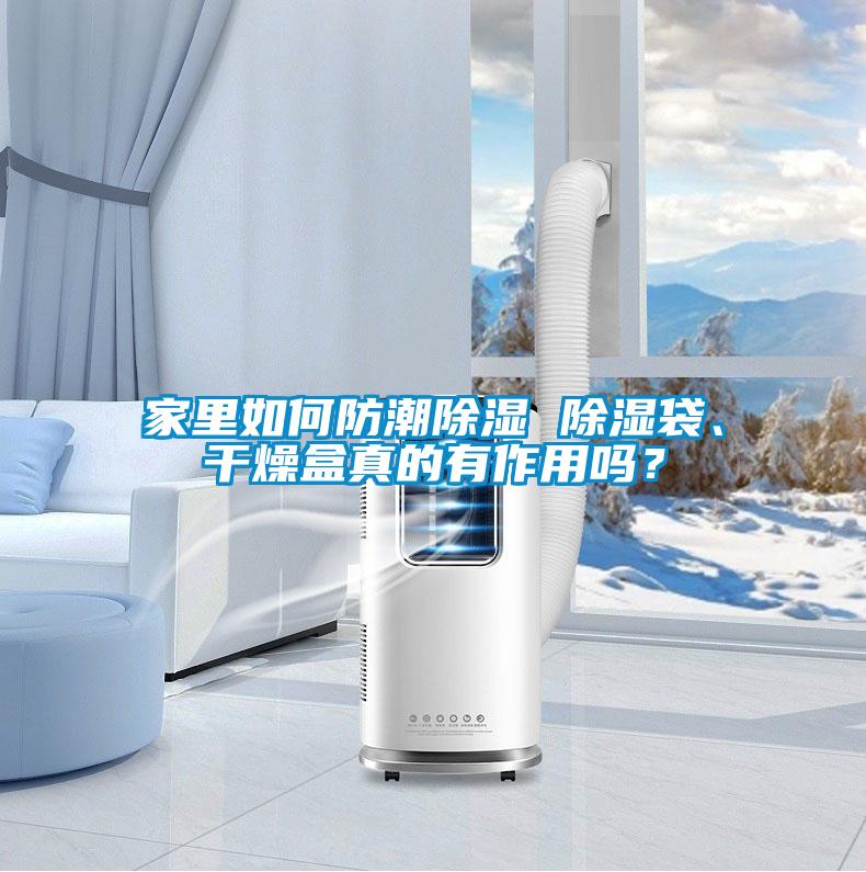 家里如何防潮除濕 除濕袋、干燥盒真的有作用嗎？