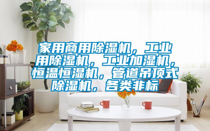 家用商用除濕機，工業(yè)用除濕機，工業(yè)加濕機，恒溫恒濕機，管道吊頂式除濕機，各類非標(biāo)