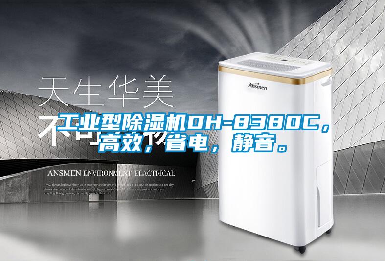 工業(yè)型除濕機DH-8380C，高效，省電，靜音。