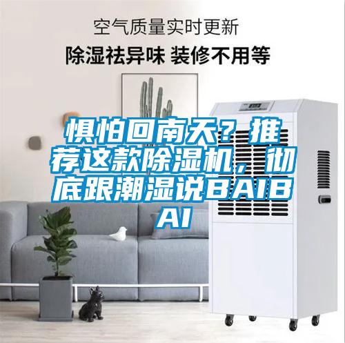 懼怕回南天？推薦這款除濕機，徹底跟潮濕說BAIBAI