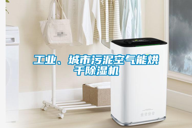 工業(yè)、城市污泥空氣能烘干除濕機(jī)