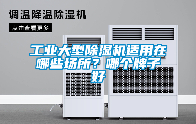 工業(yè)大型除濕機適用在哪些場所？哪個牌子好