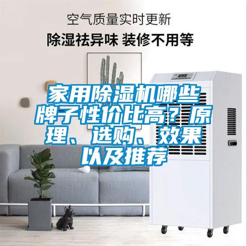 家用除濕機(jī)哪些牌子性價(jià)比高？原理、選購、效果以及推薦