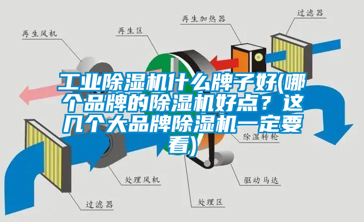 工業(yè)除濕機(jī)什么牌子好(哪個(gè)品牌的除濕機(jī)好點(diǎn)？這幾個(gè)大品牌除濕機(jī)一定要看)