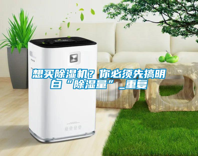 想買(mǎi)除濕機(jī)？你必須先搞明白“除濕量”_重復(fù)