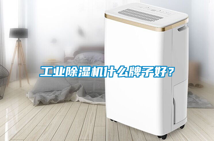 工業(yè)除濕機(jī)什么牌子好？