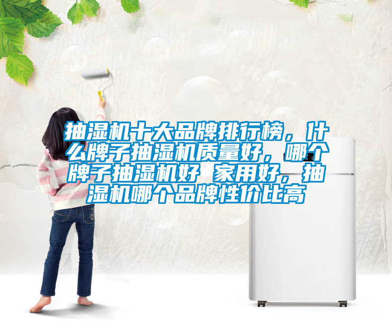 抽濕機十大品牌排行榜，什么牌子抽濕機質量好，哪個牌子抽濕機好 家用好，抽濕機哪個品牌性價比高