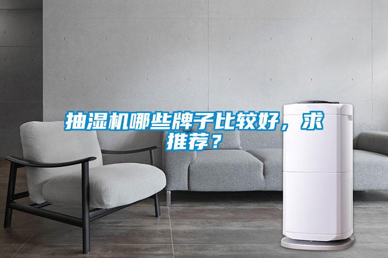 抽濕機哪些牌子比較好，求推薦？