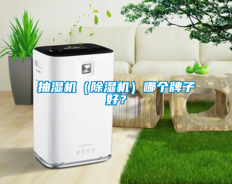 抽濕機（除濕機）哪個牌子好？