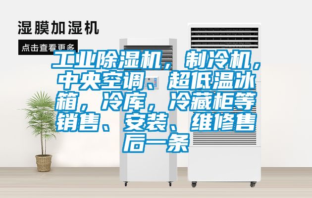 工業(yè)除濕機(jī)，制冷機(jī)，中央空調(diào)、超低溫冰箱，冷庫，冷藏柜等銷售、安裝、維修售后一條
