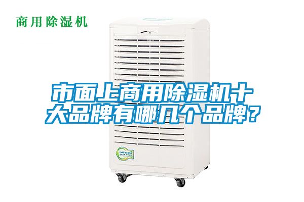 市面上商用除濕機(jī)十大品牌有哪幾個(gè)品牌？