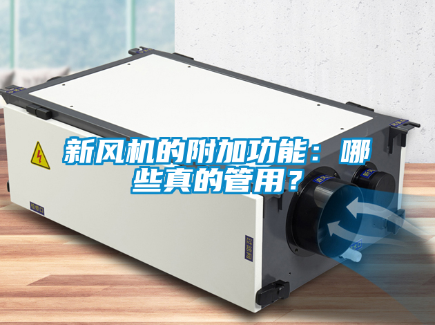 新風機的附加功能：哪些真的管用？