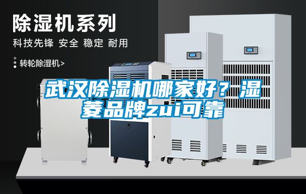 武漢除濕機哪家好？濕菱品牌zui可靠