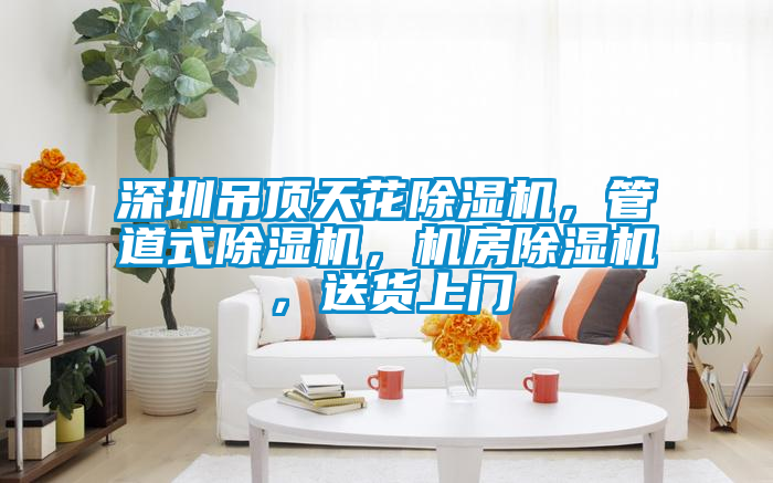 深圳吊頂天花除濕機(jī)，管道式除濕機(jī)，機(jī)房除濕機(jī)，送貨上門