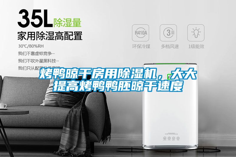 烤鴨晾干房用除濕機(jī)，大大提高烤鴨鴨胚晾干速度