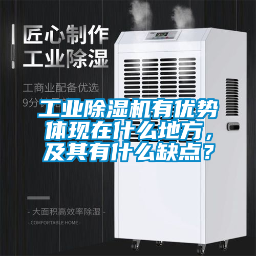 工業(yè)除濕機(jī)有優(yōu)勢(shì)體現(xiàn)在什么地方，及其有什么缺點(diǎn)？