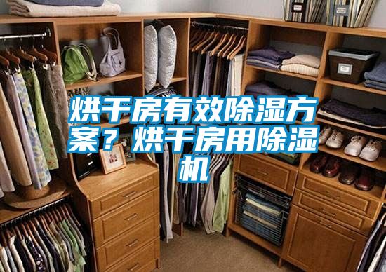 烘干房有效除濕方案？烘干房用除濕機(jī)