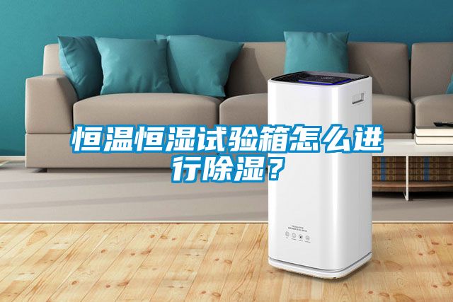 恒溫恒濕試驗箱怎么進行除濕？