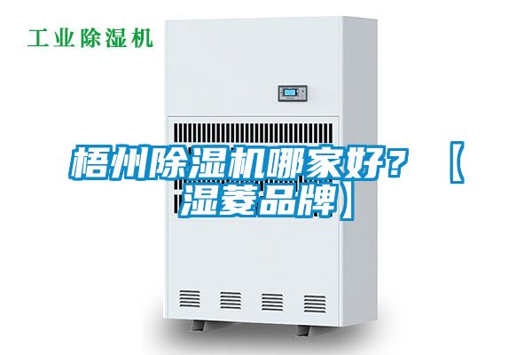 梧州除濕機(jī)哪家好？【濕菱品牌】