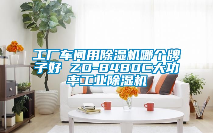 工廠車(chē)間用除濕機(jī)哪個(gè)牌子好 ZD-8480C大功率工業(yè)除濕機(jī)