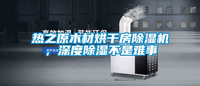 熱之原木材烘干房除濕機(jī)，深度除濕不是難事