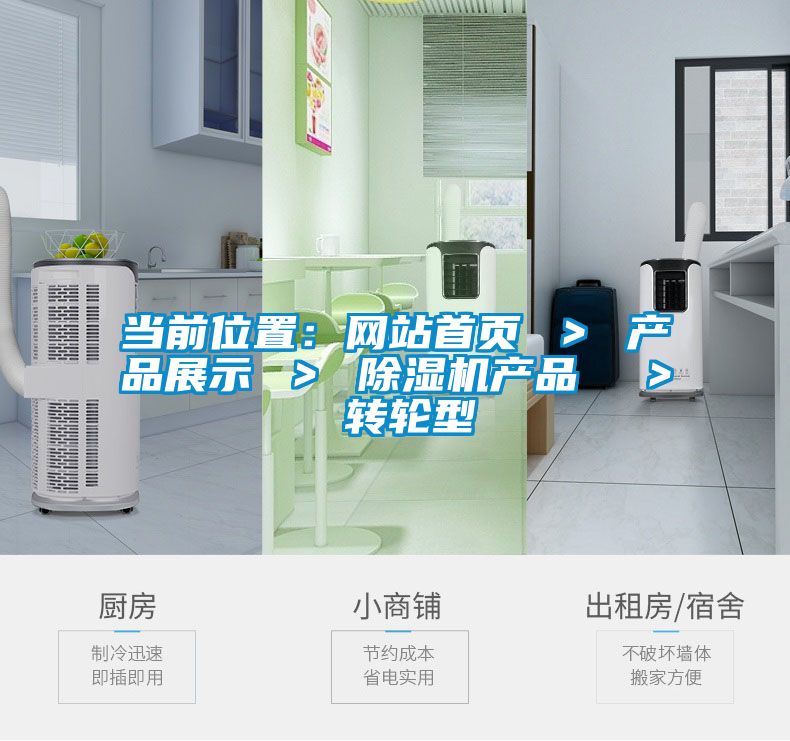 當(dāng)前位置：網(wǎng)站首頁(yè) ＞ 產(chǎn)品展示 ＞ 除濕機(jī)產(chǎn)品  ＞ 轉(zhuǎn)輪型