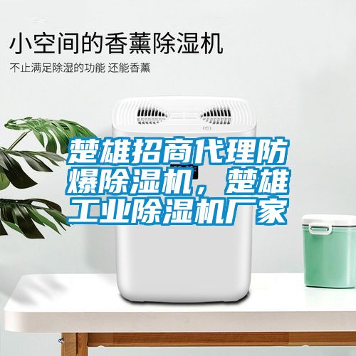 楚雄招商代理防爆除濕機，楚雄工業(yè)除濕機廠家