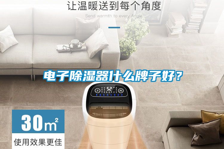 電子除濕器什么牌子好？