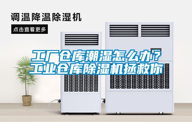 工廠倉庫潮濕怎么辦？工業(yè)倉庫除濕機拯救你