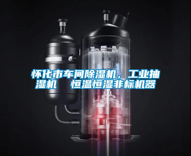 懷化市車間除濕機(jī)，工業(yè)抽濕機(jī)  恒溫恒濕非標(biāo)機(jī)器