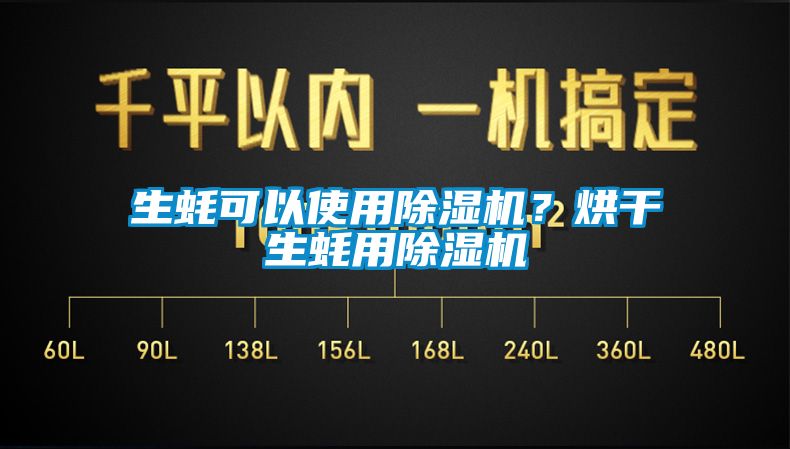生蠔可以使用除濕機？烘干生蠔用除濕機