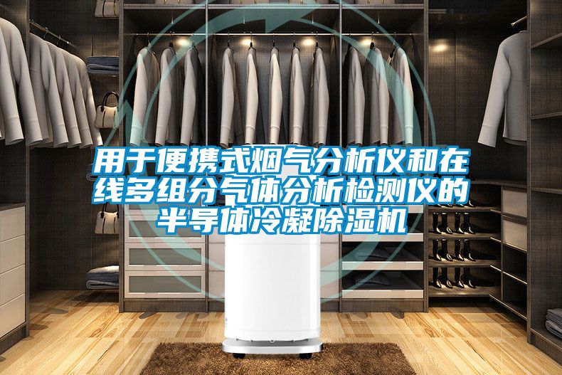 用于便攜式煙氣分析儀和在線(xiàn)多組分氣體分析檢測(cè)儀的半導(dǎo)體冷凝除濕機(jī)