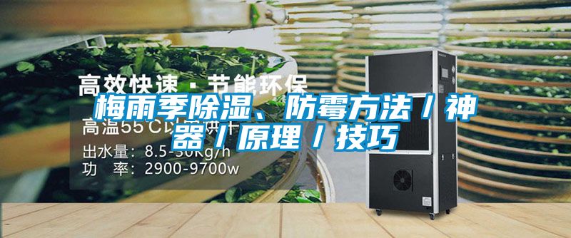 梅雨季除濕、防霉方法／神器／原理／技巧