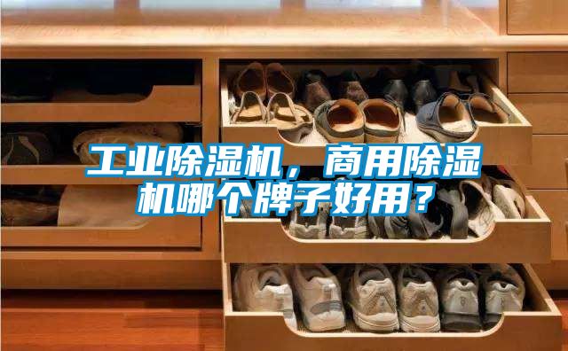 工業(yè)除濕機，商用除濕機哪個牌子好用？
