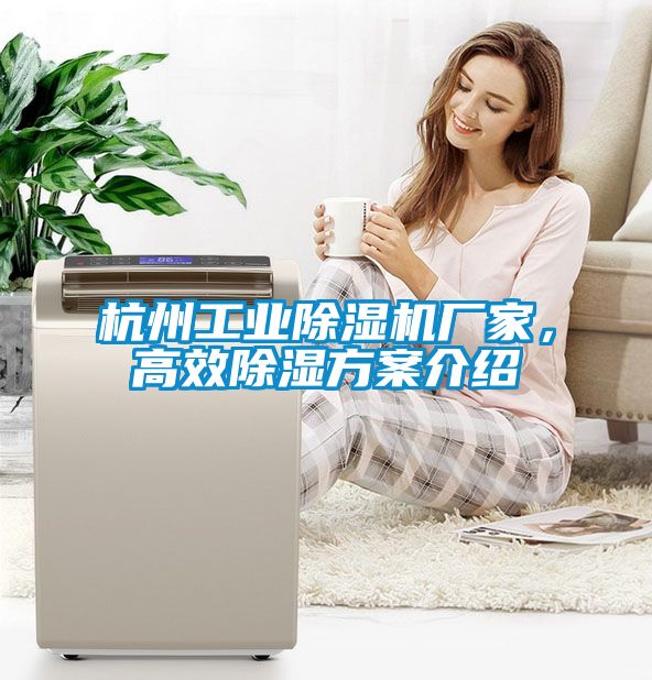 杭州工業(yè)除濕機(jī)廠家，高效除濕方案介紹