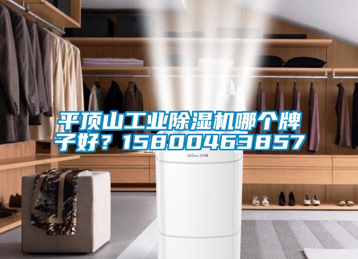 平頂山工業(yè)除濕機(jī)哪個(gè)牌子好？15800463857