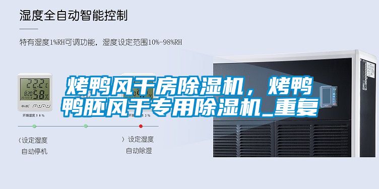 烤鴨風(fēng)干房除濕機(jī)，烤鴨鴨胚風(fēng)干專用除濕機(jī)_重復(fù)
