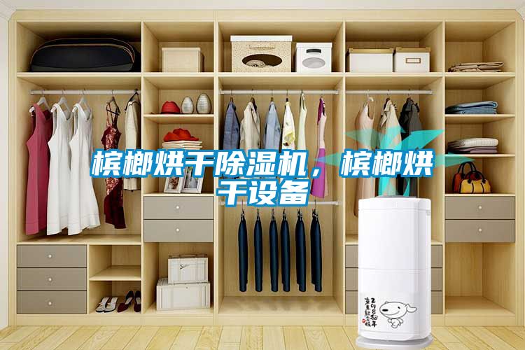 檳榔烘干除濕機(jī)，檳榔烘干設(shè)備