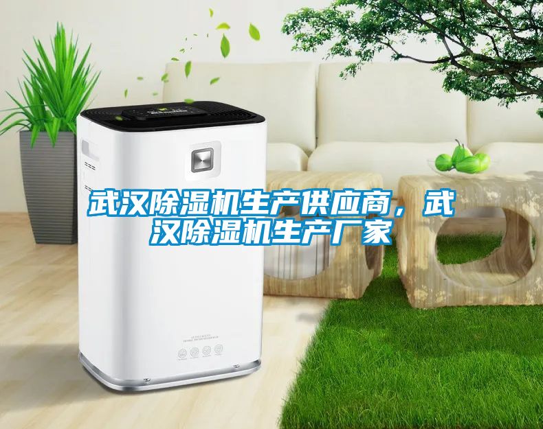 武漢除濕機生產(chǎn)供應商，武漢除濕機生產(chǎn)廠家