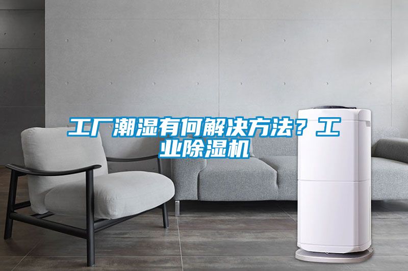 工廠潮濕有何解決方法？工業(yè)除濕機(jī)