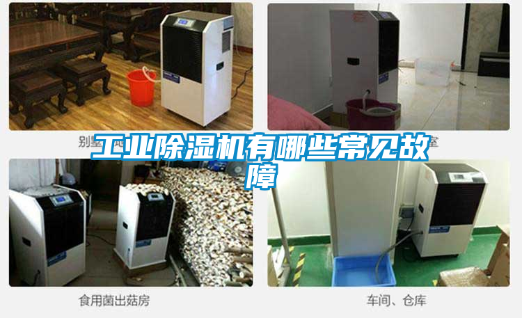 工業(yè)除濕機(jī)有哪些常見故障