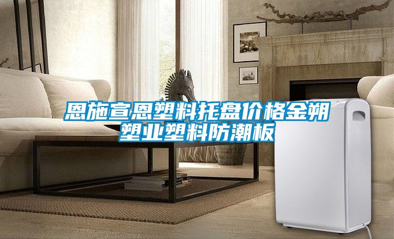 恩施宣恩塑料托盤(pán)價(jià)格金朔塑業(yè)塑料防潮板
