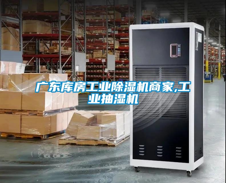 廣東庫(kù)房工業(yè)除濕機(jī)商家,工業(yè)抽濕機(jī)