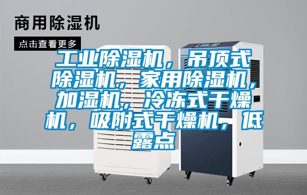 工業(yè)除濕機(jī)，吊頂式除濕機(jī)，家用除濕機(jī)，加濕機(jī)，冷凍式干燥機(jī)，吸附式干燥機(jī)，低露點(diǎn)