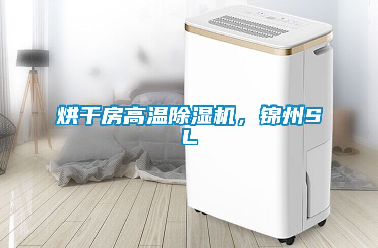 烘干房高溫除濕機(jī)，錦州SL
