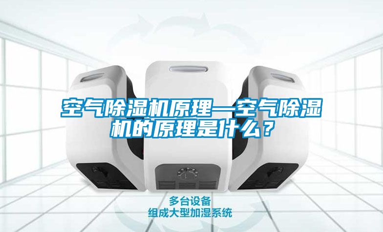 空氣除濕機(jī)原理—空氣除濕機(jī)的原理是什么？