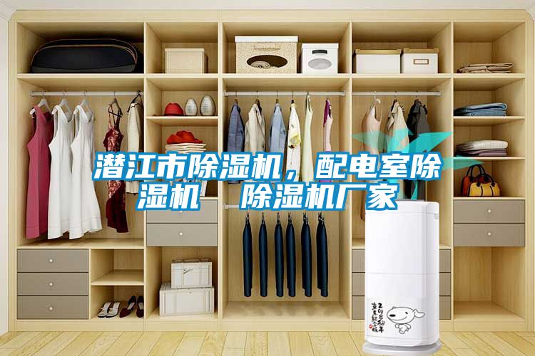 潛江市除濕機，配電室除濕機  除濕機廠家