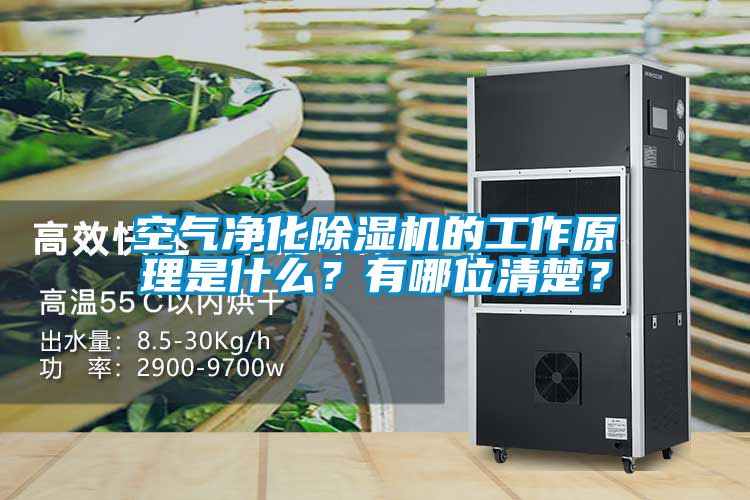 空氣凈化除濕機的工作原理是什么？有哪位清楚？