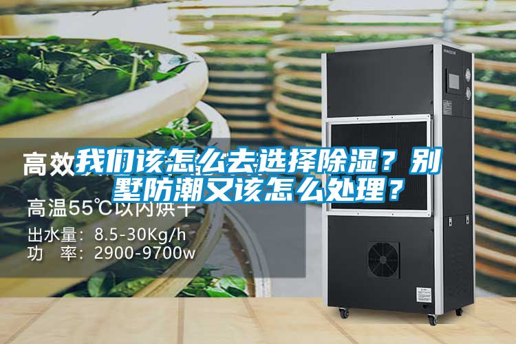 我們該怎么去選擇除濕？別墅防潮又該怎么處理？